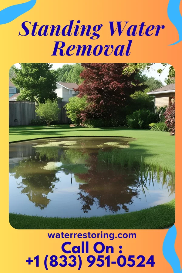 Standing Water Removal in Coalville, IA